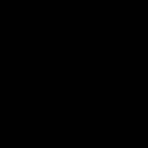 Meet your Posher, Samuel